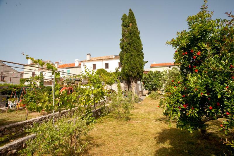 Pape Punat Apartmani I Sobe Buitenkant foto